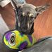 Michael Helsley - Facebook