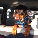 Michael Hemminger - @michael.hemminger.14 - Instagram