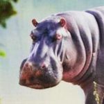 Michael Hempel - @longbongo89 - Instagram