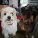 Michaela Hennig - Facebook