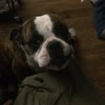 Michael Henrickson - @michael.henrickson - Instagram
