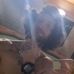 Michael Heafner - Facebook
