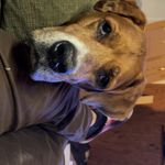 Michael Herbers - @mherbs0160 - Instagram