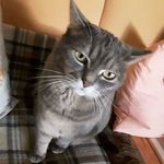 michael herde - @mherde1958 - Instagram