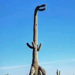 Michael Herringshaw - @michael_herringshaw - Instagram