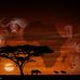 Mike Herscowitz - Facebook