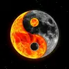 Michael_Hesseling - @michael_hesseling - TikTok