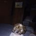 Michael Hester - Facebook