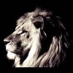 Michael Heyn - @michael.heyn.7 - Instagram