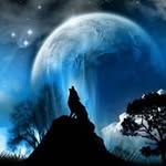 Michael Heynsdyk - @michael_heynsdyk - Instagram