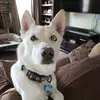 Michael Hicks - @michael.hicks973 - TikTok