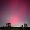 michaelhicks6921 - @michaelhicks6921 - TikTok