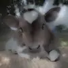 Michael Hiebert - @michaelhiebert_2531 - TikTok