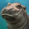 michaelhiebert499 - @michaelhiebert499 - TikTok
