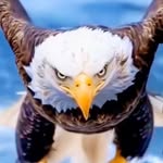 Michael Hiemstra - @afhiemstra - Instagram