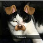 Michael Highley - @awesome99man - Instagram