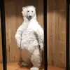 Michael Hindley - @michael.hindley2 - TikTok