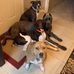 Michael Hinks - Facebook