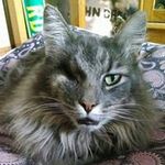 Michael Hinks - @michaelhinks - Instagram