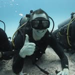 Michael Hitch - @bluegecko45 - Instagram