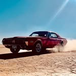 Michael Hitchcock - @michael.hitchcock.319 - Instagram