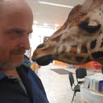 Michael Hitzblech - @michaelhitzblech - Instagram