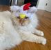 Michael Hoak - Facebook