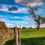 Michael Frey - @michael_hobbyfotografie - Instagram