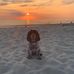 Mike Hoeksema - Facebook