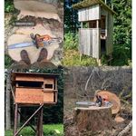Michael Hofer - @forst_hochsitzbau_hofer - Instagram