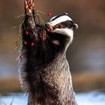 Michael Hofer - @michael_hofer_photography - Instagram