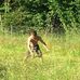 Michael Hofer - Facebook