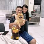 Michael Hoh - @michaelhoh8 - Instagram