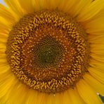 Michael Hohenstein - Facebook