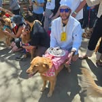 Michael Hollywood - @hollywood_da_kid - Instagram