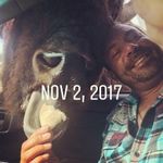 Michael Hollywood - @michaelhollywood123 - Instagram