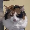 michaelholodnak56 - @michaelholodnak56 - TikTok