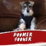 Michael Holsapple II - @southsider1982 - Instagram