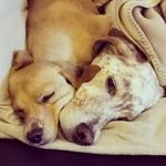 Michael Holter - @holter16210 - Instagram