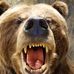 Michael Holzer - Facebook