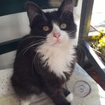 Michael Horne - @mhorne64 - Instagram