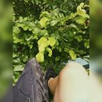 michael - @michael.hornstein12 - Instagram