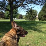 Michael horowitz - @mhorowitz1 - Instagram