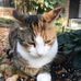 Michael Horrell - Facebook