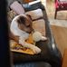 Michael Hourigan - Facebook