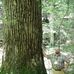 Michael Hovatter - Facebook