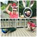 Michael Howley - Facebook