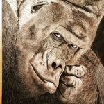 Michael Hütten - @michael.huetten - Instagram