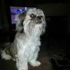 Michael Huff - @michael.huff4 - TikTok