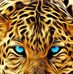 Michael Huff - Facebook
